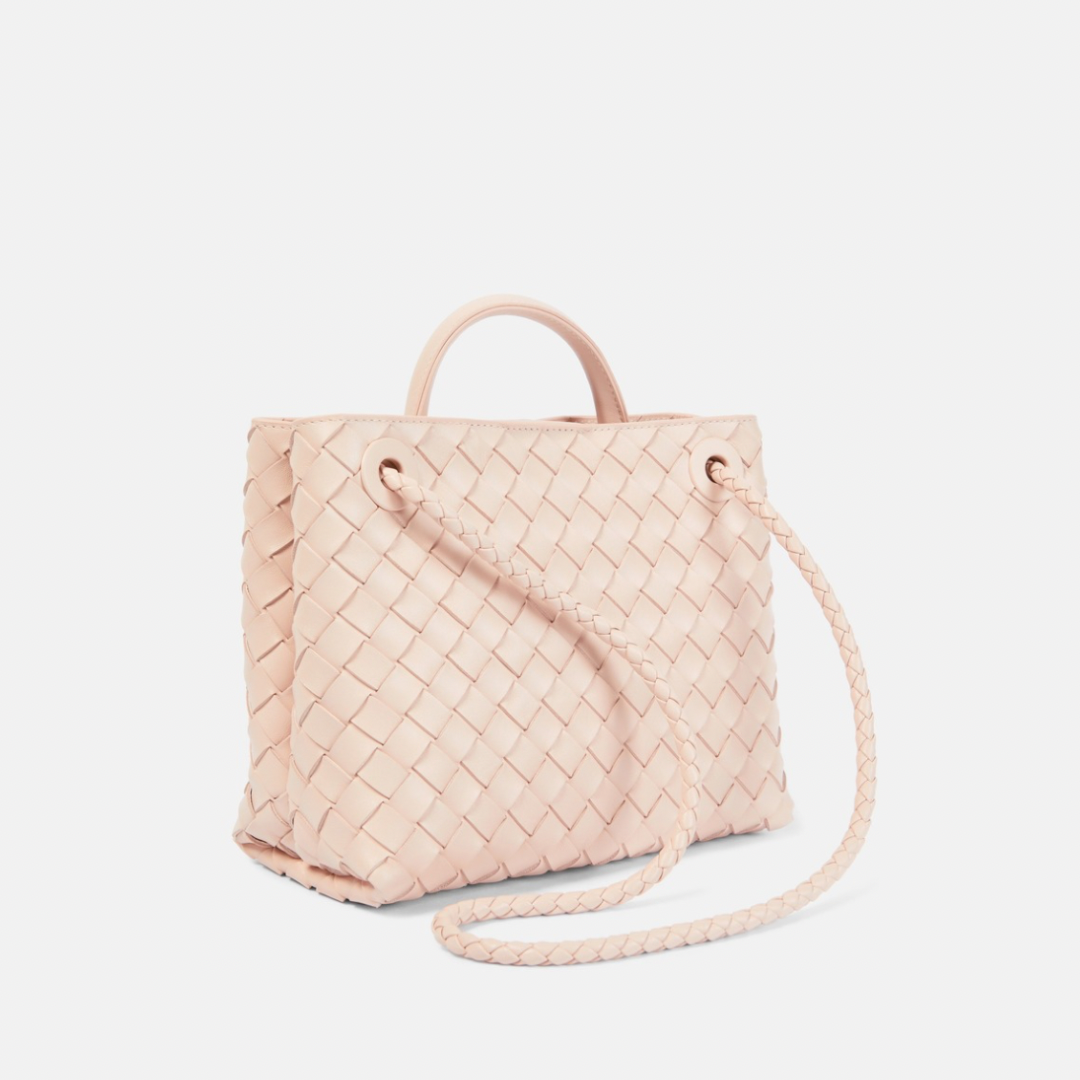 Bottega Veneta Andiamo Small leather shoulder bag